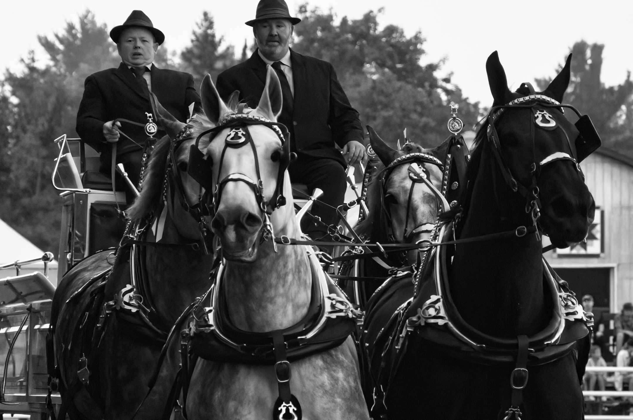 two men in a carriage, one pulls back the reins of four horses
