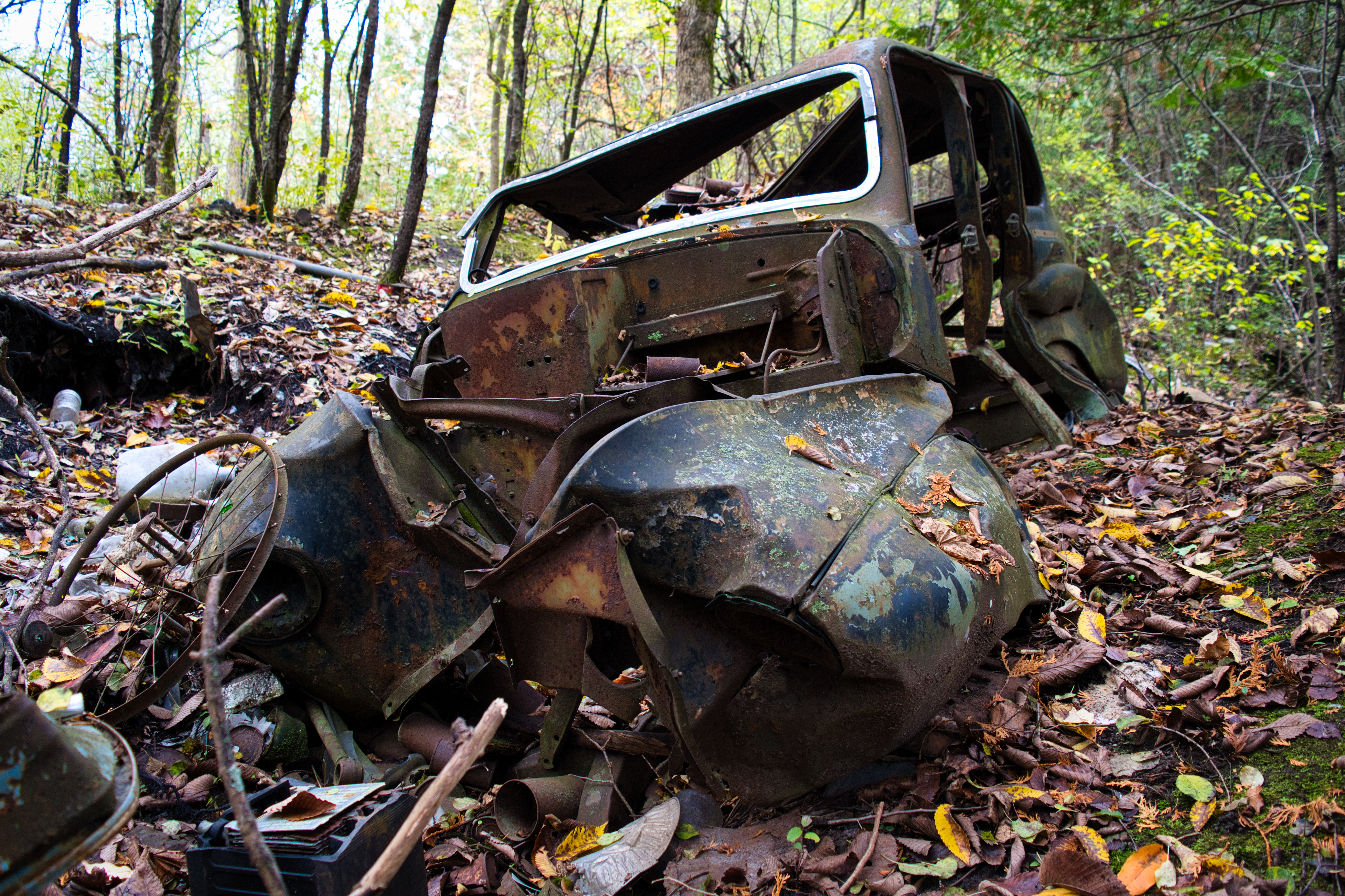 the wreck of a 1940's car sits in the forest