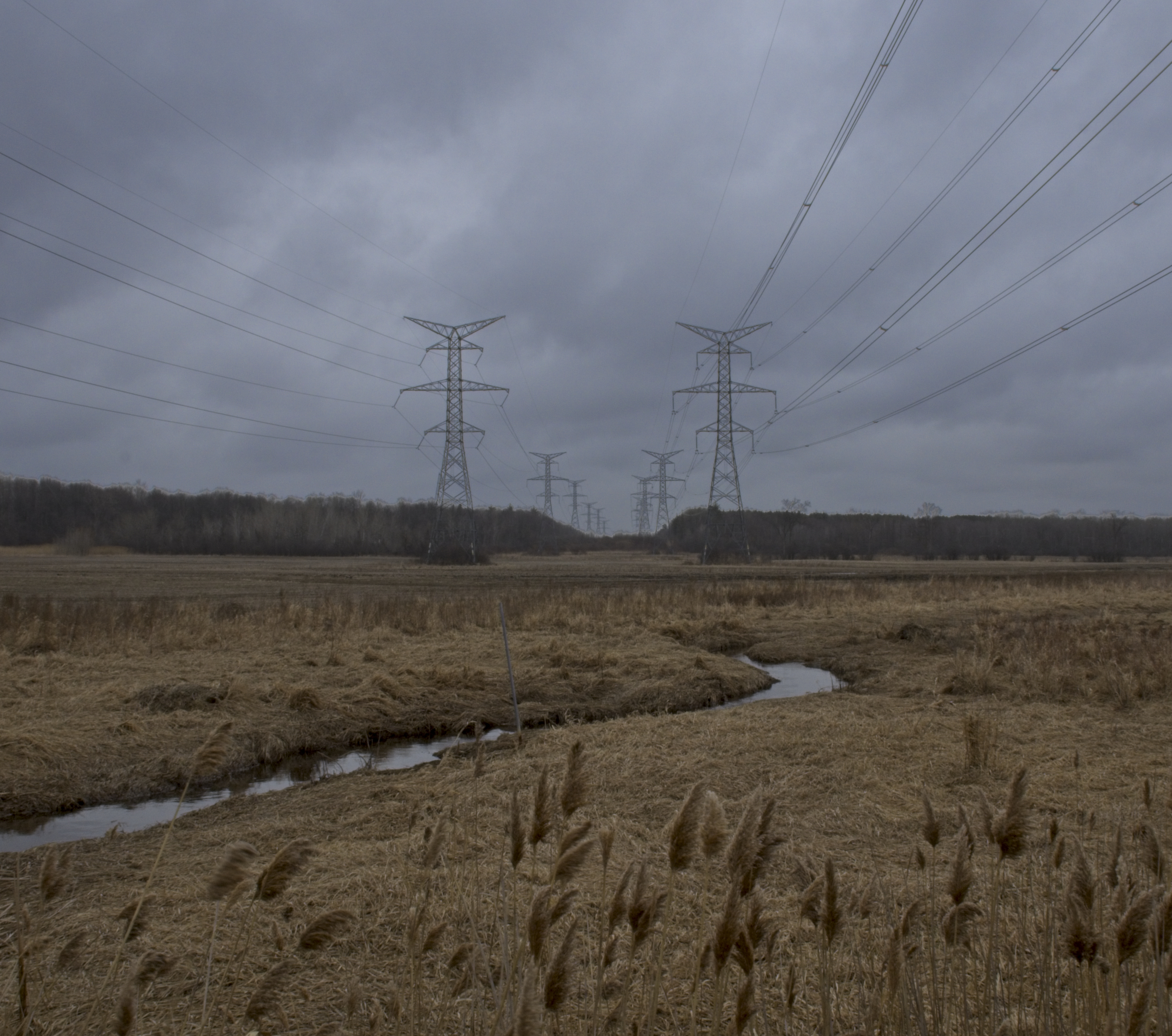 two columns of hydro towers blur into the distance in a bleak landscape