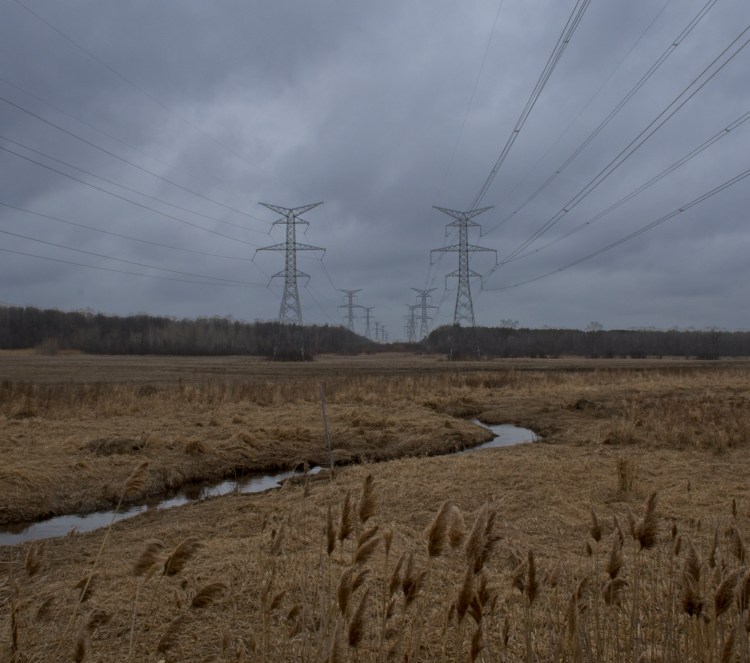 Two rows of hydro towers march into the distance in a bleak landscape.