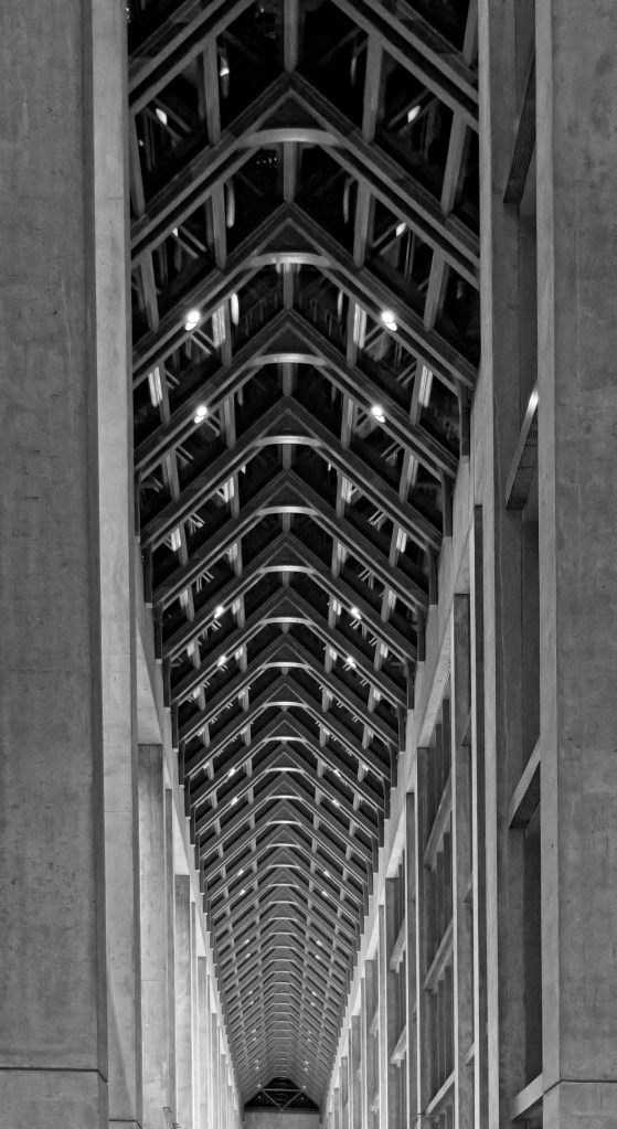 Skylights viewed at an angle across a gallery ceiling.