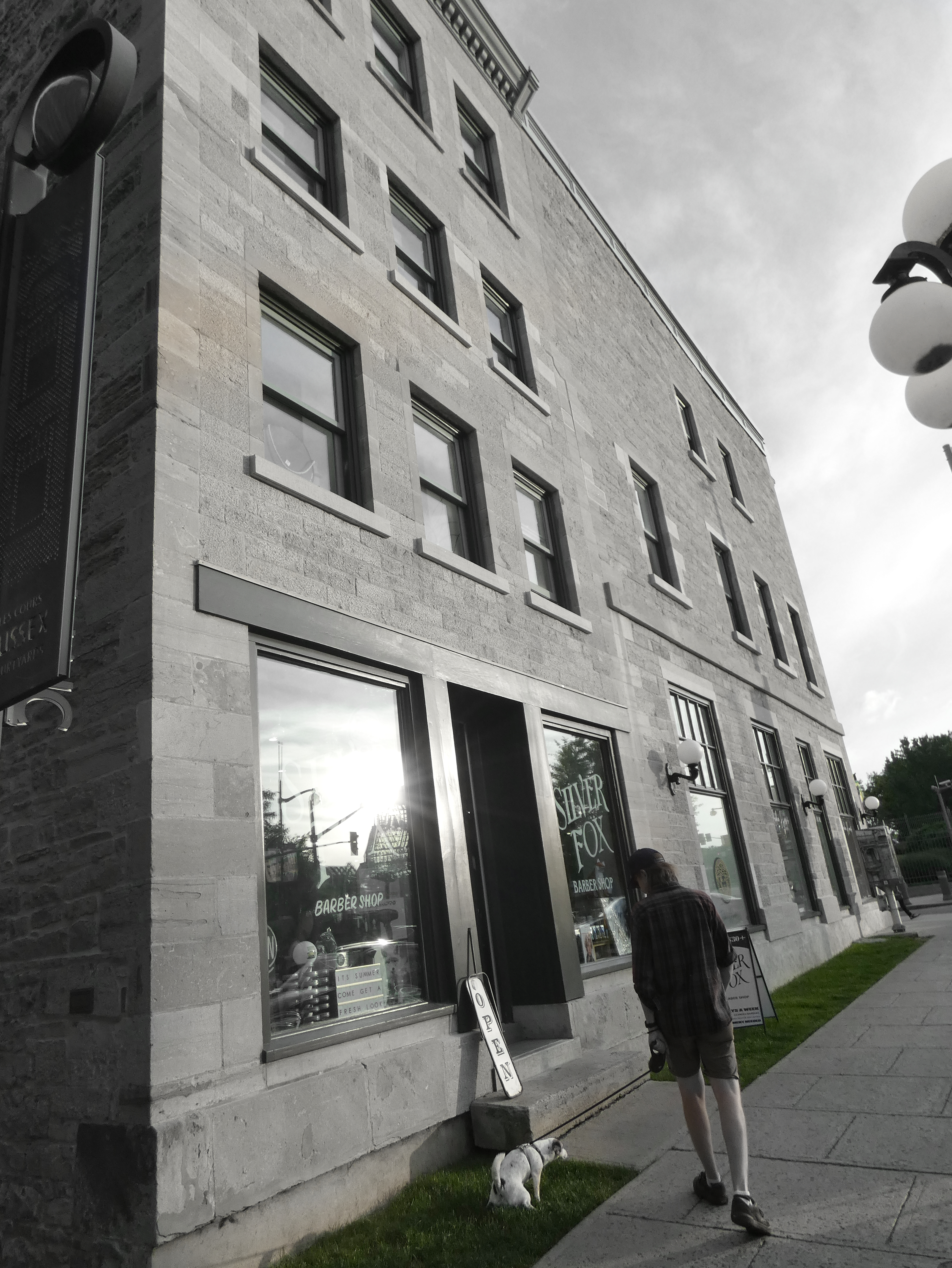 a man watches as his dog poops on a patch of green grass