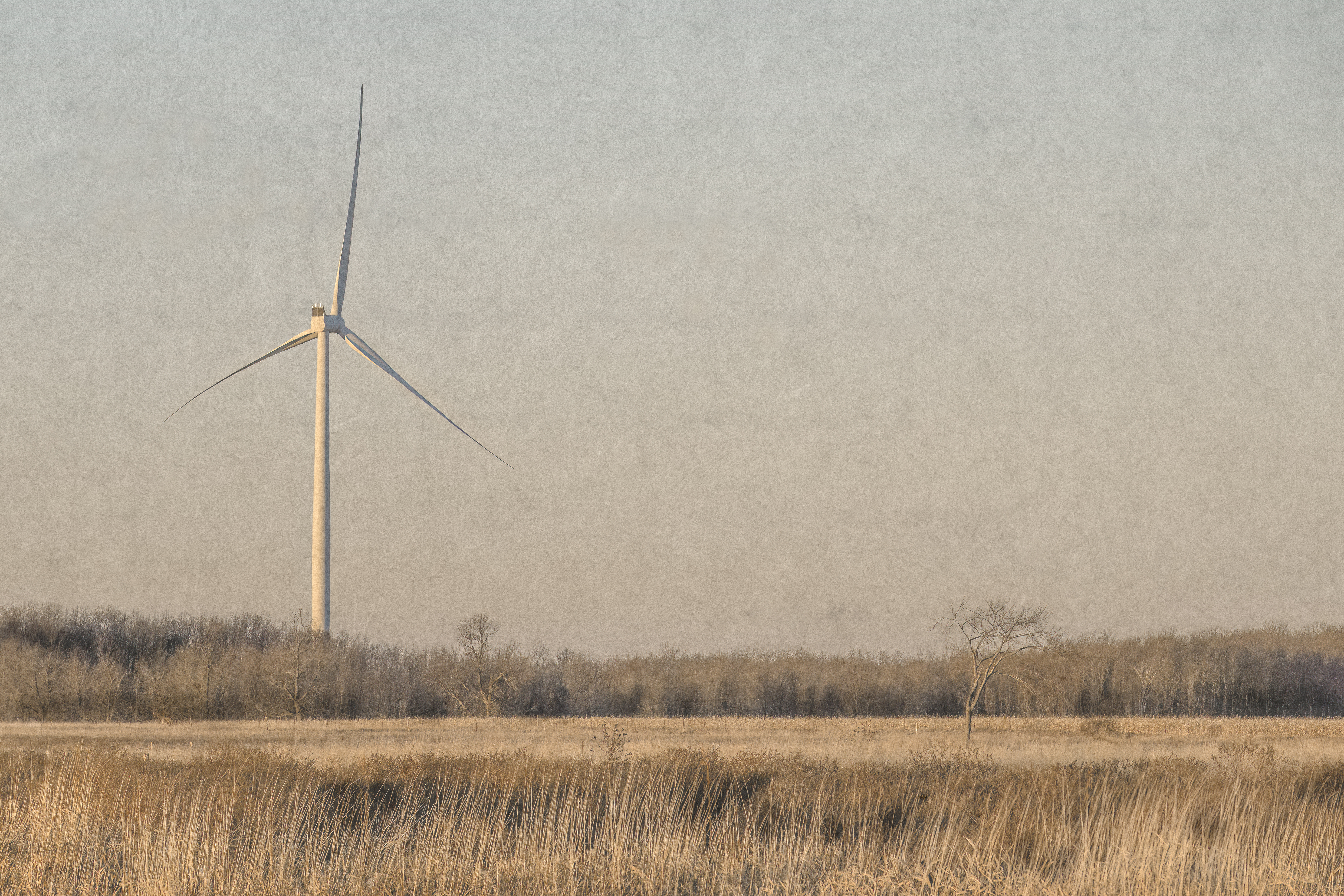 A wind turbine watches over a dry autumn field