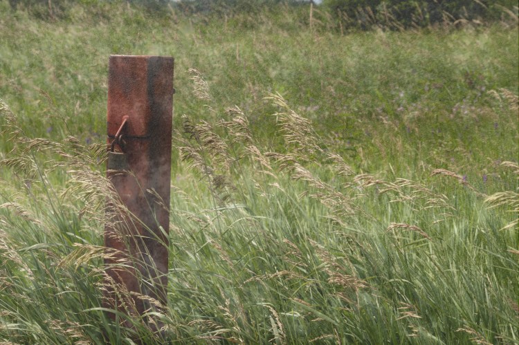 A rusty square post with a pad lock emerges out of a grassy field.